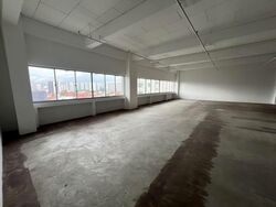 Perfect One (D13), Factory #557089221